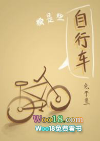 写自行车的小说封面