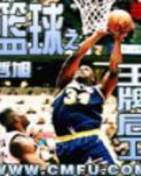 篮球之王牌后卫TXT下载奇书网封面
