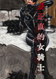 乙女游戏的女骑士(西幻NPH)封面